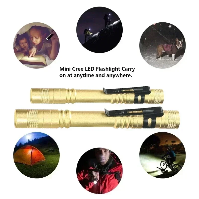 Mini Portable LED Pen Light wi - Zinc Outdoor Lighting recension och pris